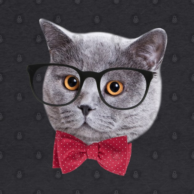 Hipster Cat by valentinahramov